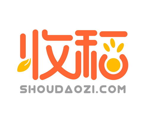 收稻網(wǎng)絡(luò)科技 立足上海，引領(lǐng)計(jì)算機(jī)軟硬件技術(shù)開發(fā)新篇章